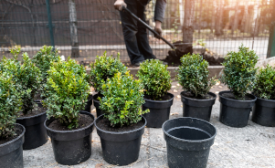 Une solution nationale pour le recyclage des pots horticoles utilisés par les collectivités